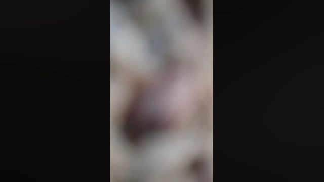 Toparosxl  30-08-2022